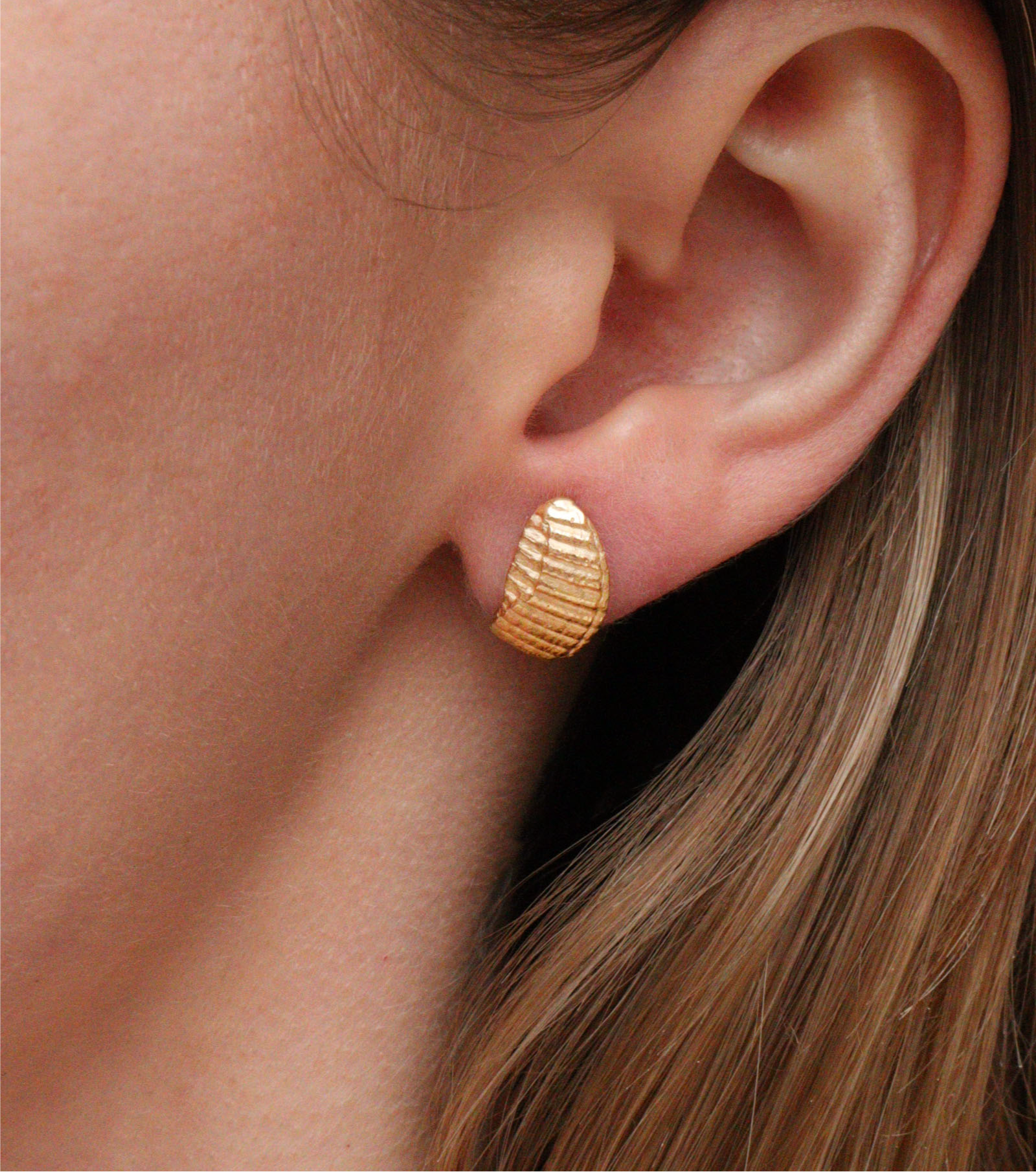 Small Shell Studs