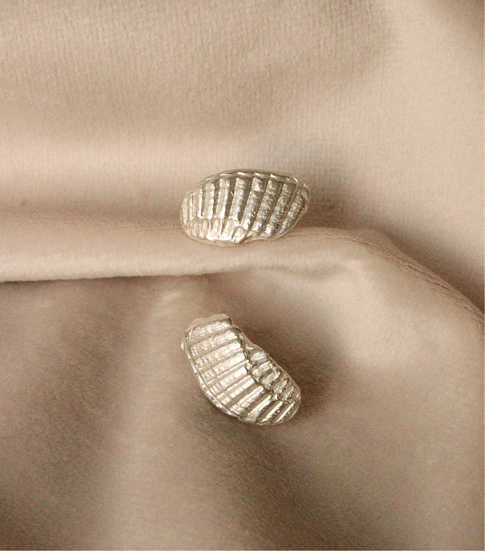 Small Shell studs